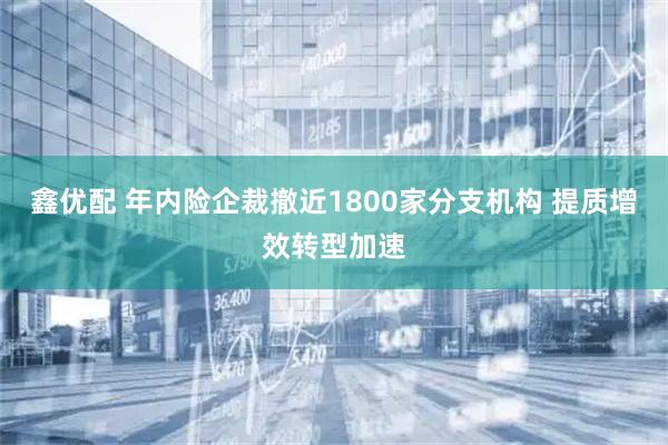 鑫优配 年内险企裁撤近1800家分支机构 提质增效转型加速