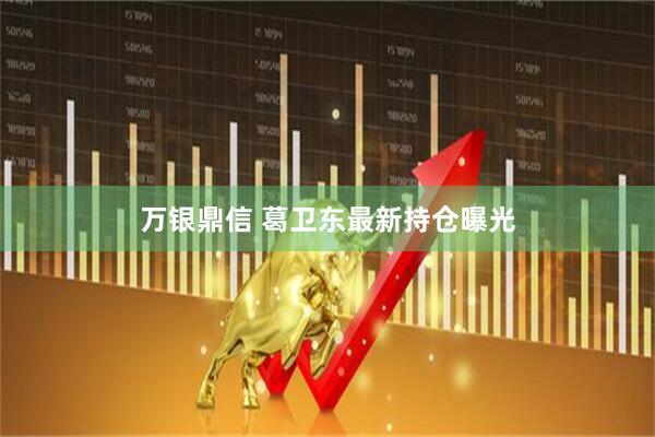 万银鼎信 葛卫东最新持仓曝光