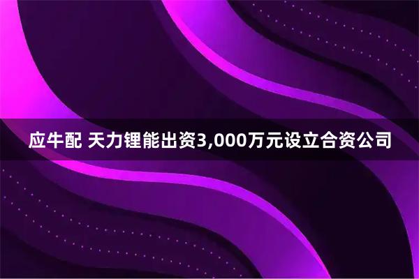 应牛配 天力锂能出资3,000万元设立合资公司